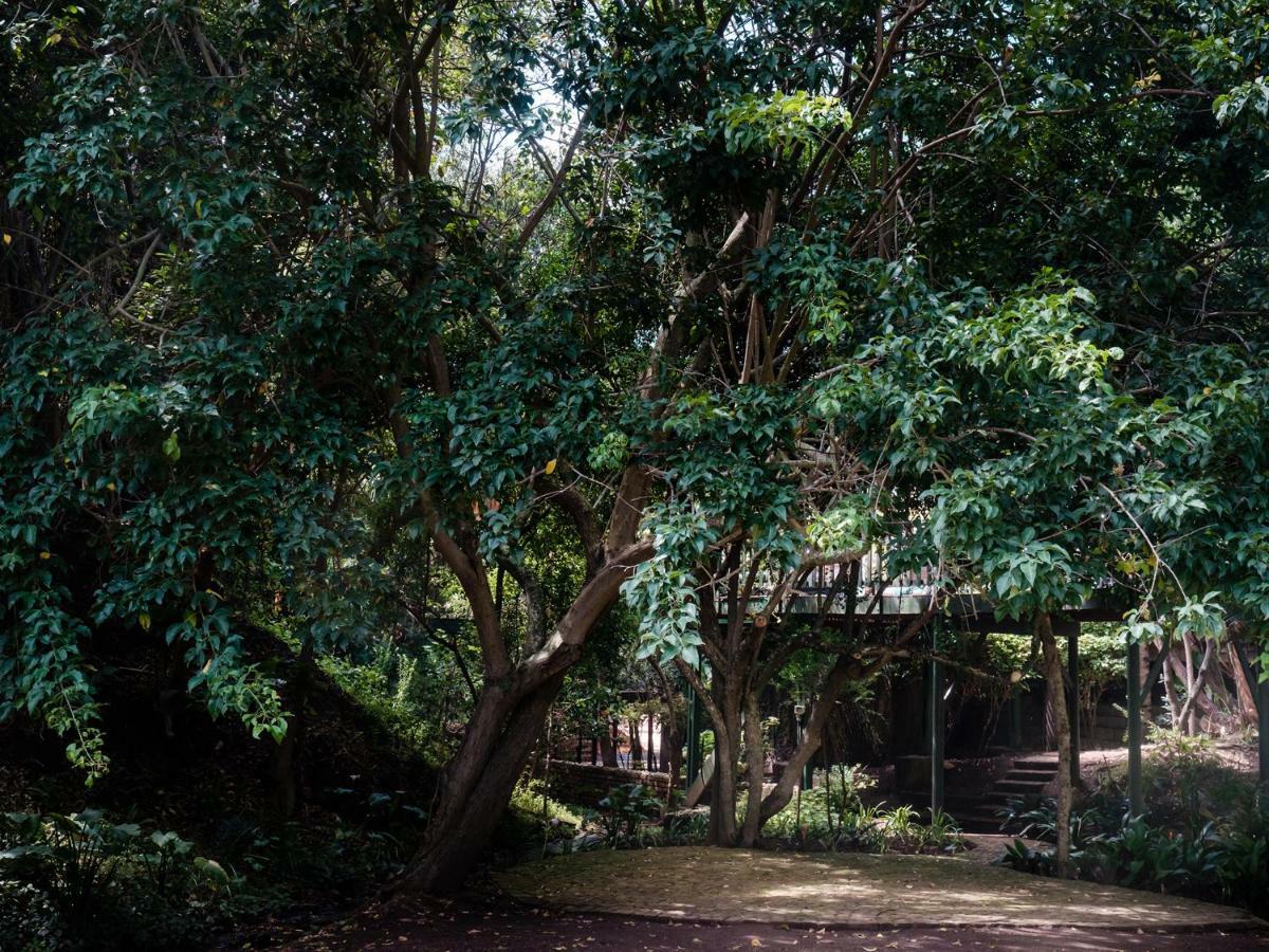Cinnamon Boutique Guest House Wilderness Bagian luar foto